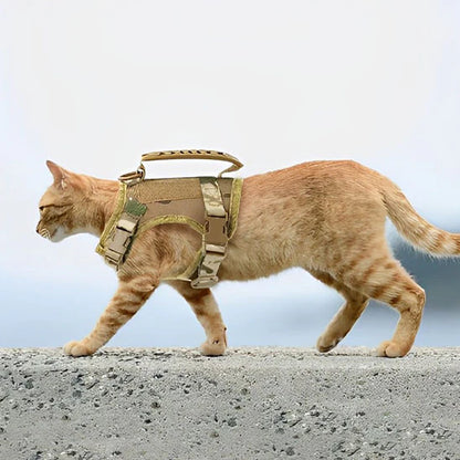 Harnais Pour Chat Spécial