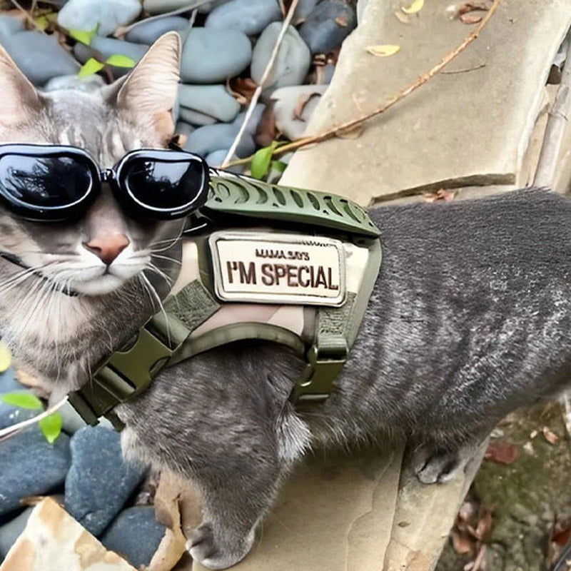 Harnais Pour Chat Spécial