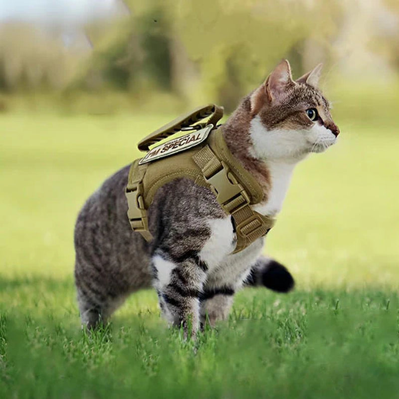 Harnais Pour Chat Spécial