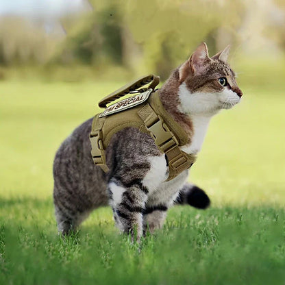 Harnais Pour Chat Spécial